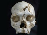 Cráneo 17 descubierto en la Sima de los Huesos, en Atapuerca, en el que se observan dos orificios producidos por el impacto de unos objetos que le causarían la muerte - Javier Trueba / Madrid Scientific Films