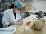 Imagen del proceso de estudio odontológico previo a la extracción de las piezas dentarias empleadas para la obtención del ADN. (Fotos: ICAC)