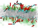 El projecte combina simulacions per ordinador, síntesi química, experiència clínica i industrial, física i experiments biològics.